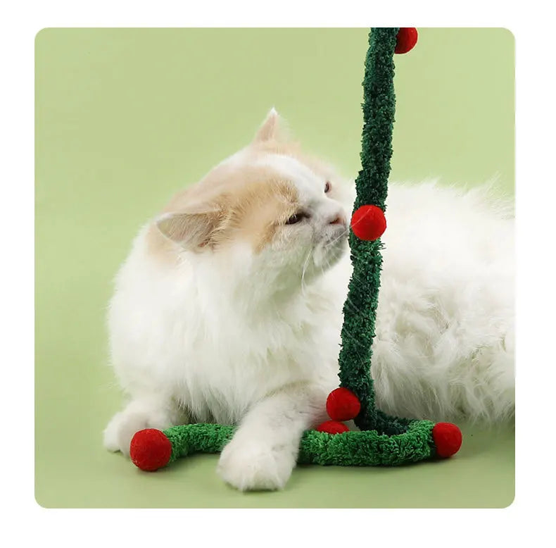 Cat Toys