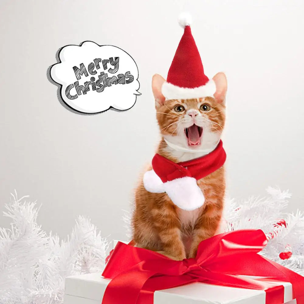 Santa Hat for Pets – Adorable Holiday Costume