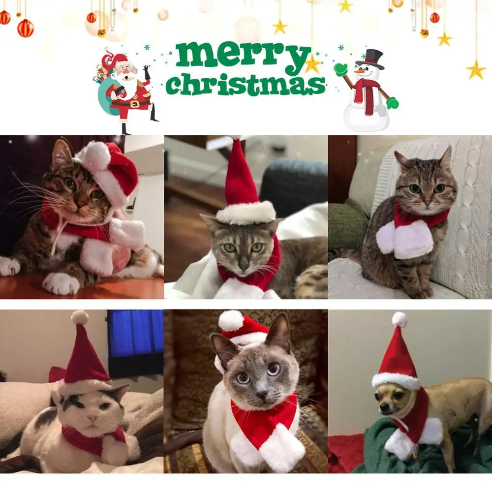 Santa Hat for Pets – Adorable Holiday Costume