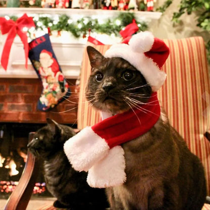 Santa Hat for Pets – Adorable Holiday Costume