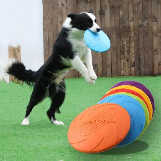 Hard Plastic Dog Frisbee – Durable & Chew-Resistant Toy