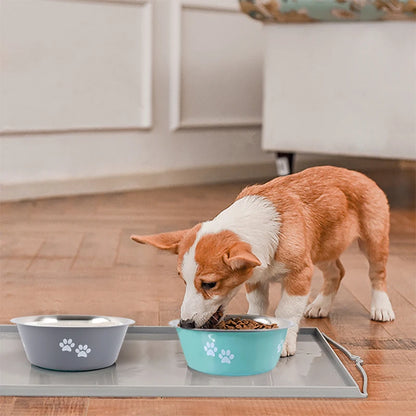 Non-Slip Stainless Steel Pet Bowl – For Dogs & Cats